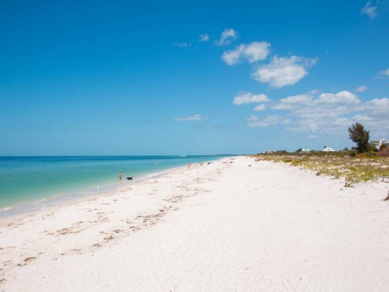 Condo Clearwater