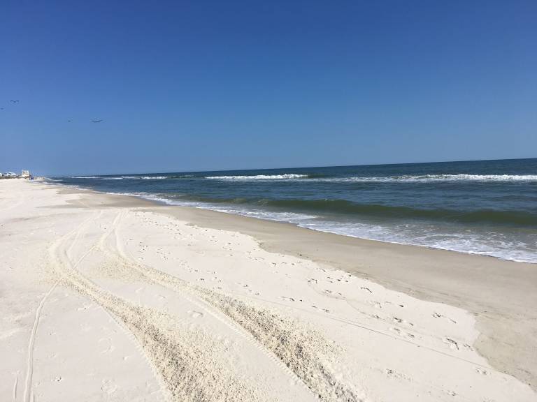 House Gulf Shores