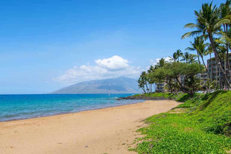 Condo Kihei